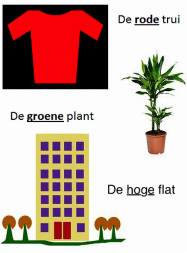 Bijvoeglijk - Nederlands de onderbouw